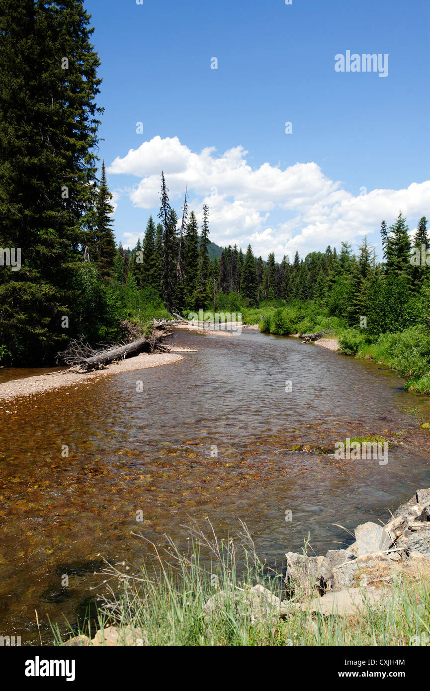 Monture Creek nel Montana Foto Stock