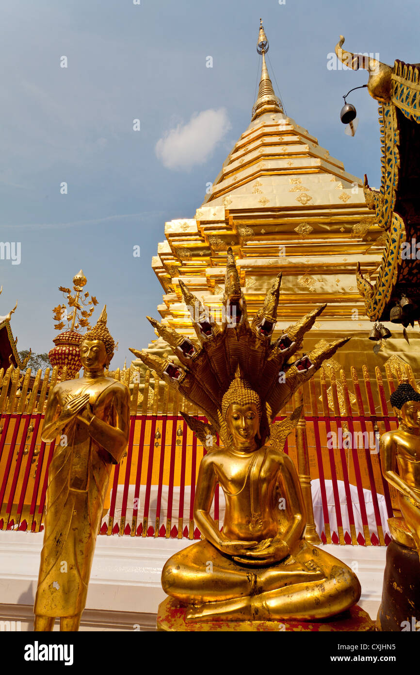 Il golden Stupa del tempio Buddista Wat Phra That Doi Suthep vicino a Chiang Mai in Thailandia Foto Stock
