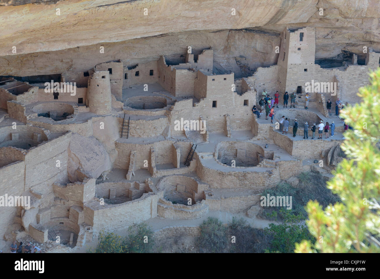 Cliff Palace, Mesa Verde National Park, COLORADO, Stati Uniti d'America Foto Stock