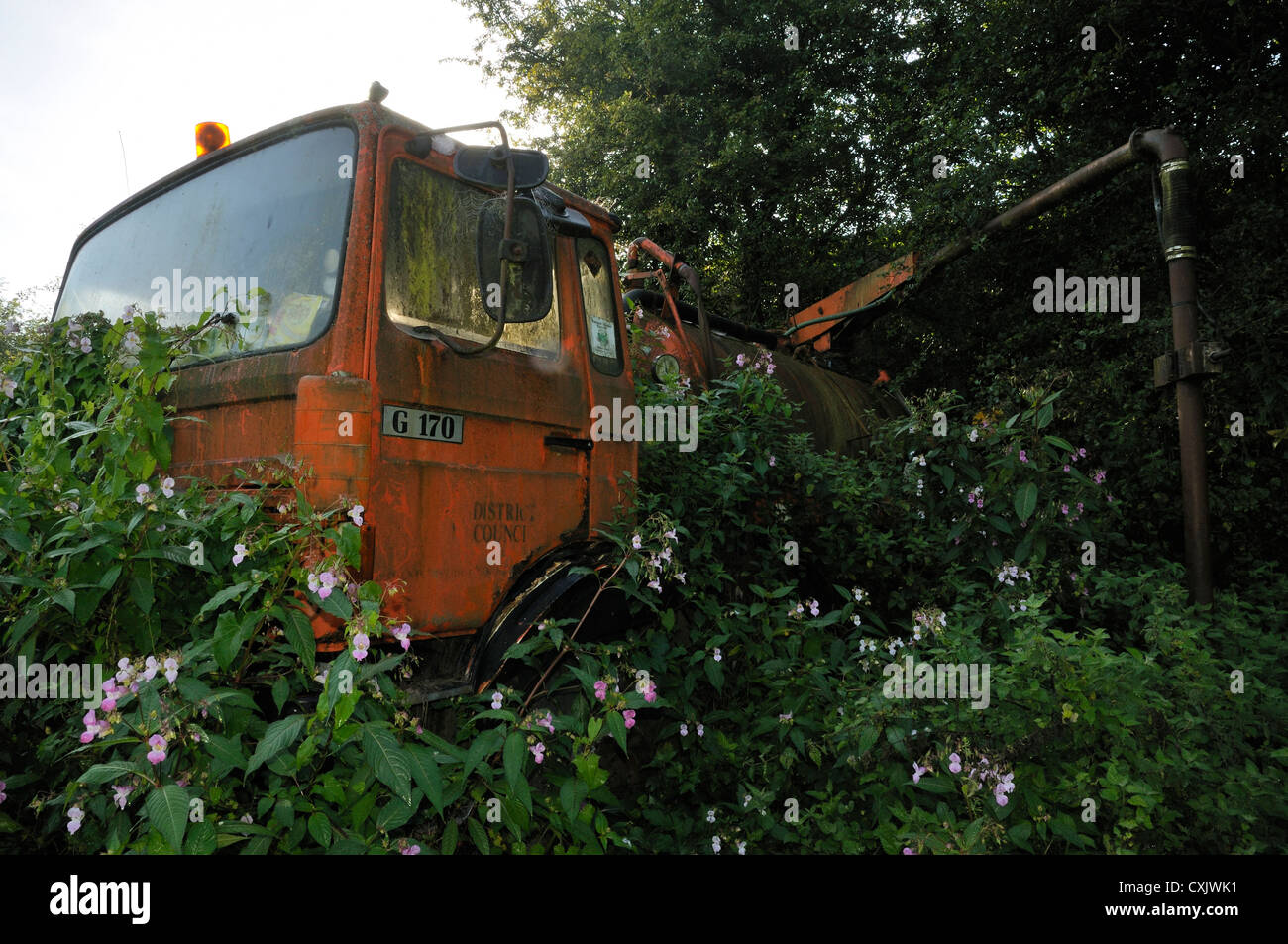 Consiglio in disuso scaricare il detergente autocarro ricoperta con balsamo Himalayano Foto Stock
