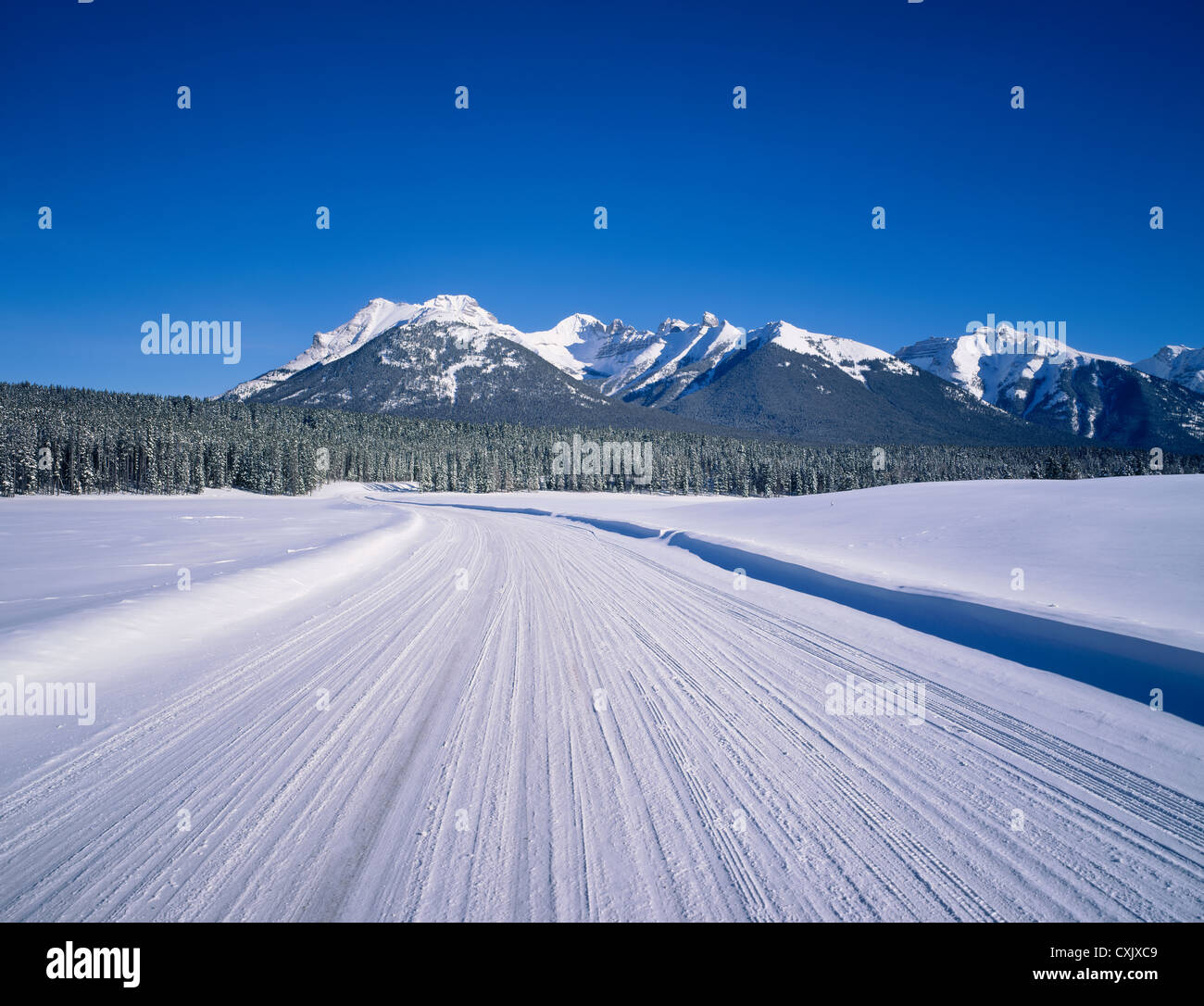 Coperta di neve road Foto Stock