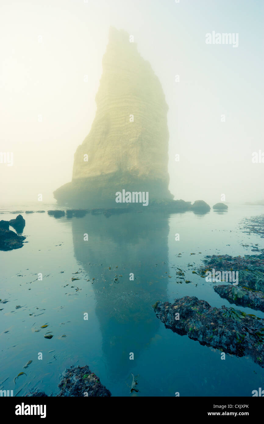 Stack di mare nella nebbia, Etretat, Normandia, Francia Foto Stock