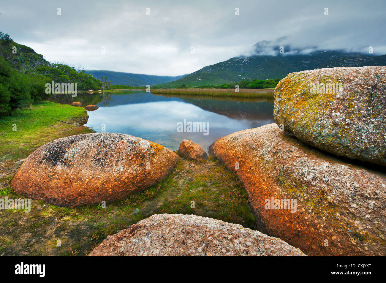 Rocce ricoperte di lichene sul fiume Tidal nel Parco Nazionale del promontorio di Wilsons. Foto Stock