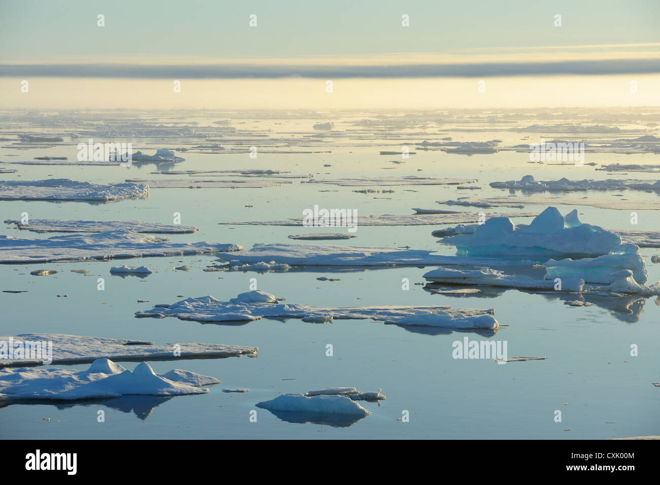 Pack ghiaccio, Mare di Groenlandia, Oceano Artico, Arctic Foto Stock
