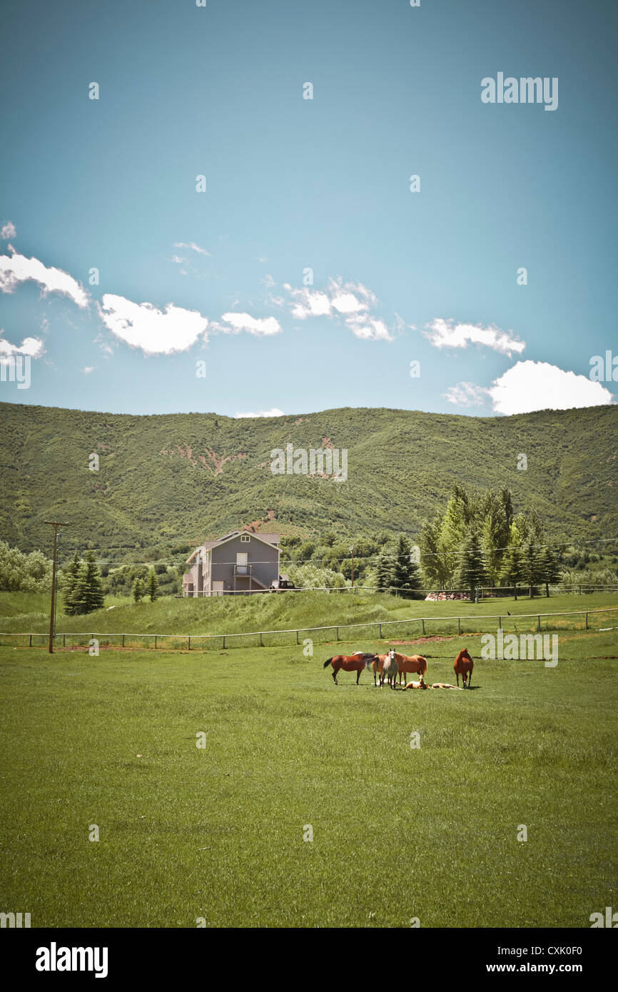 Loma, Colorado, STATI UNITI D'AMERICA Foto Stock