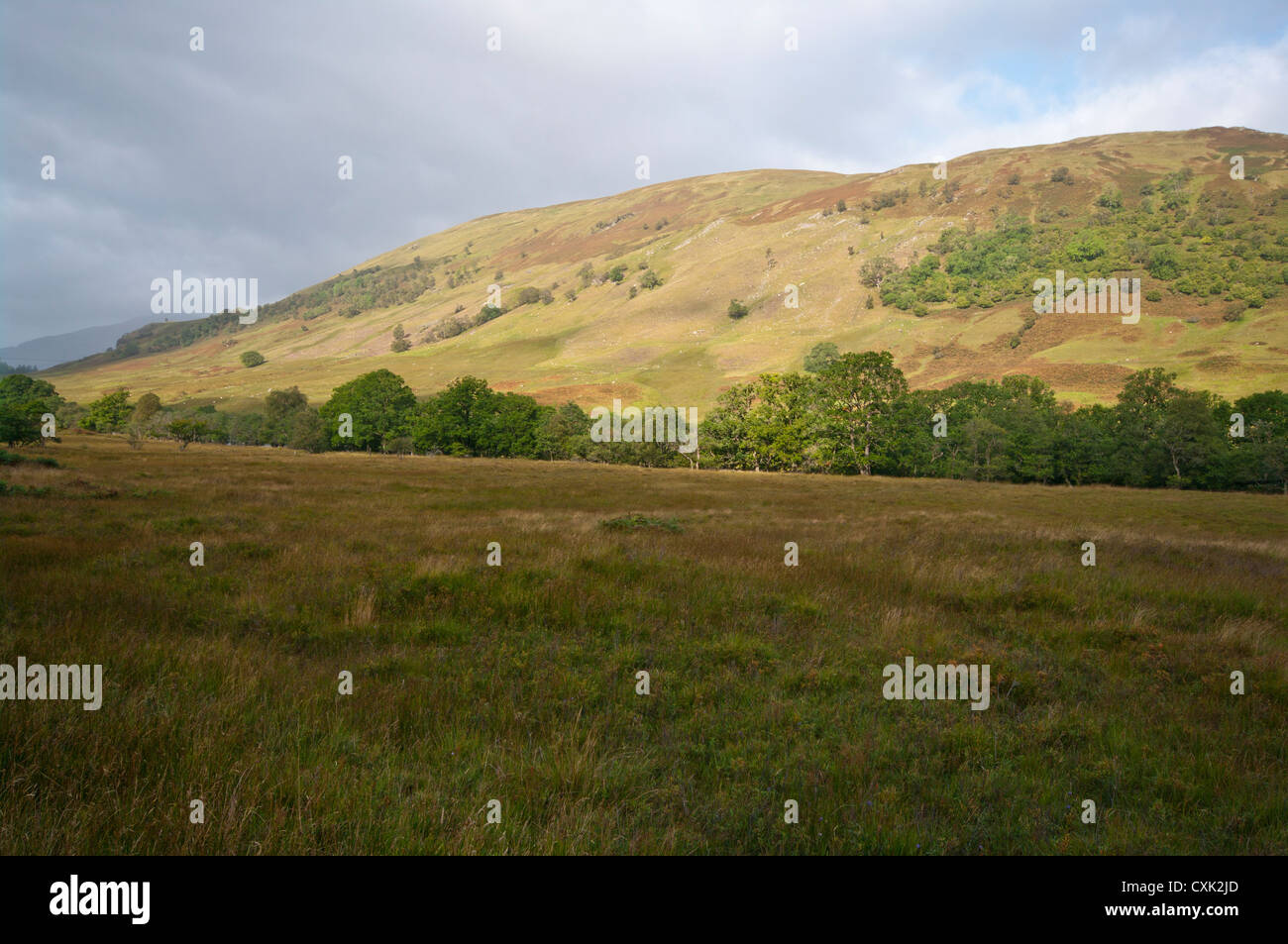 Vista attraverso Glen Orchy Argyll and Bute Scozia nelle Highlands scozzesi Foto Stock