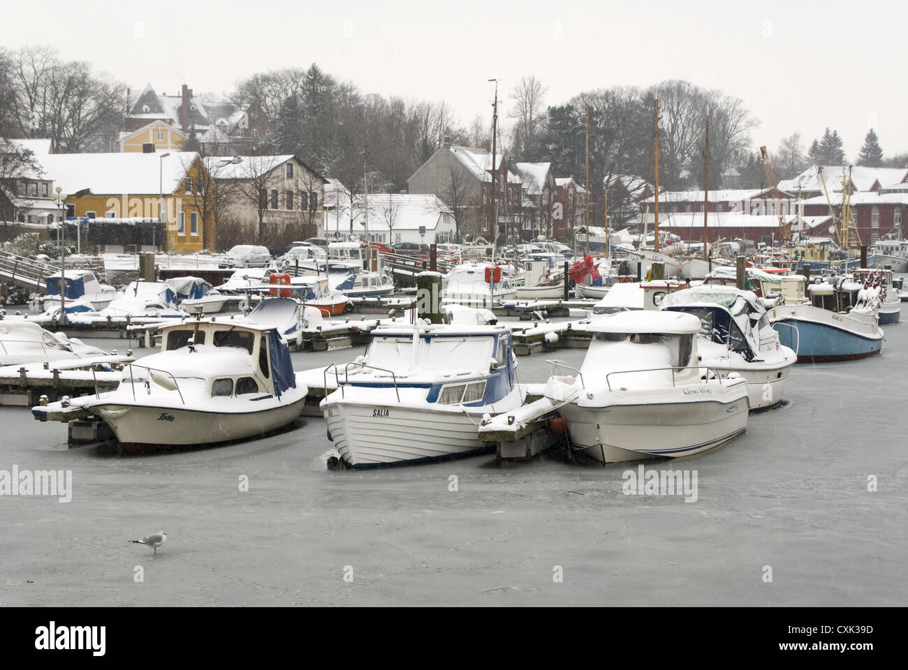 Porto Eckernfoerde in inverno Foto Stock