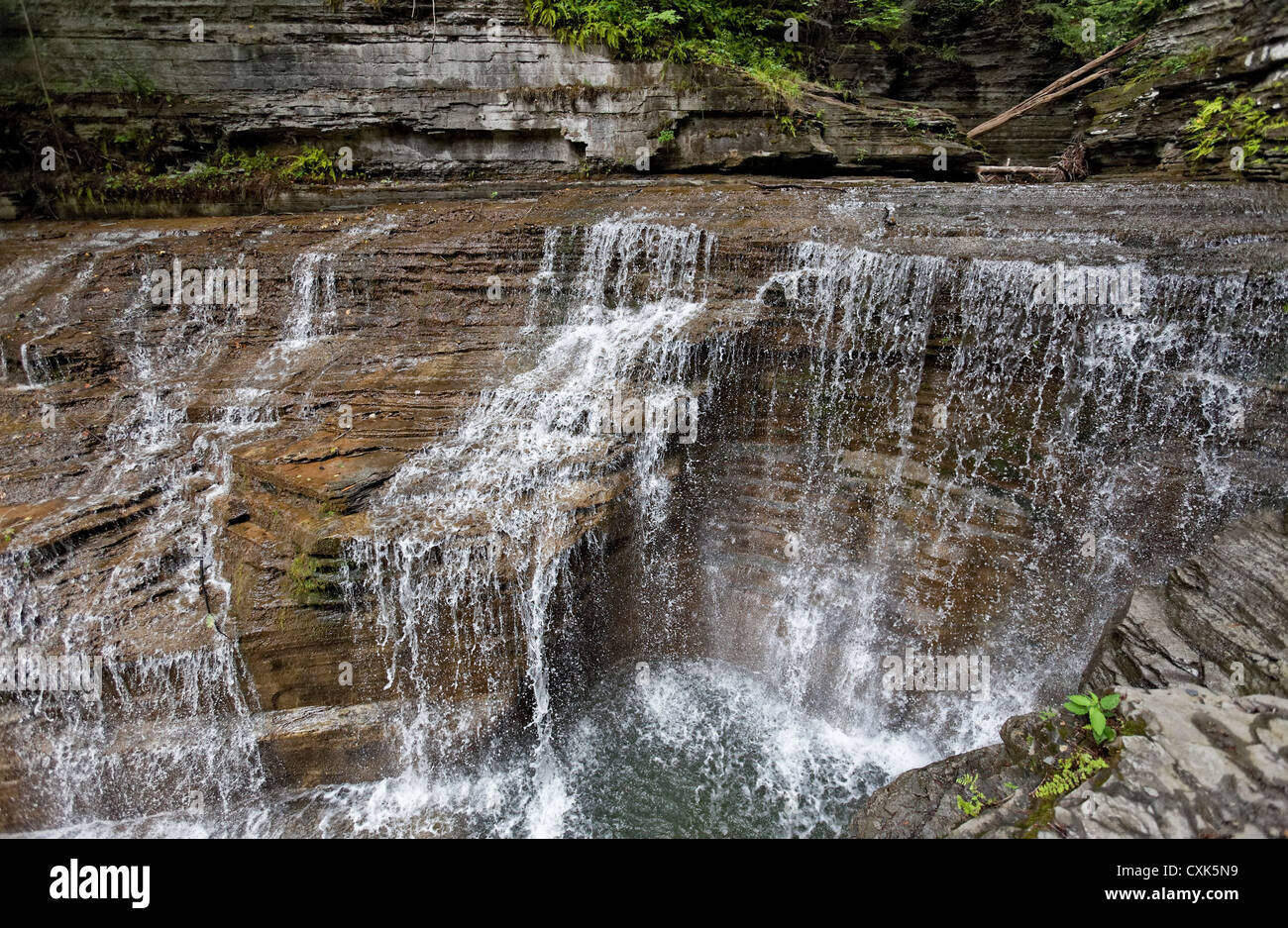 Latticello Falls State Park, Ithaca, New York Foto Stock