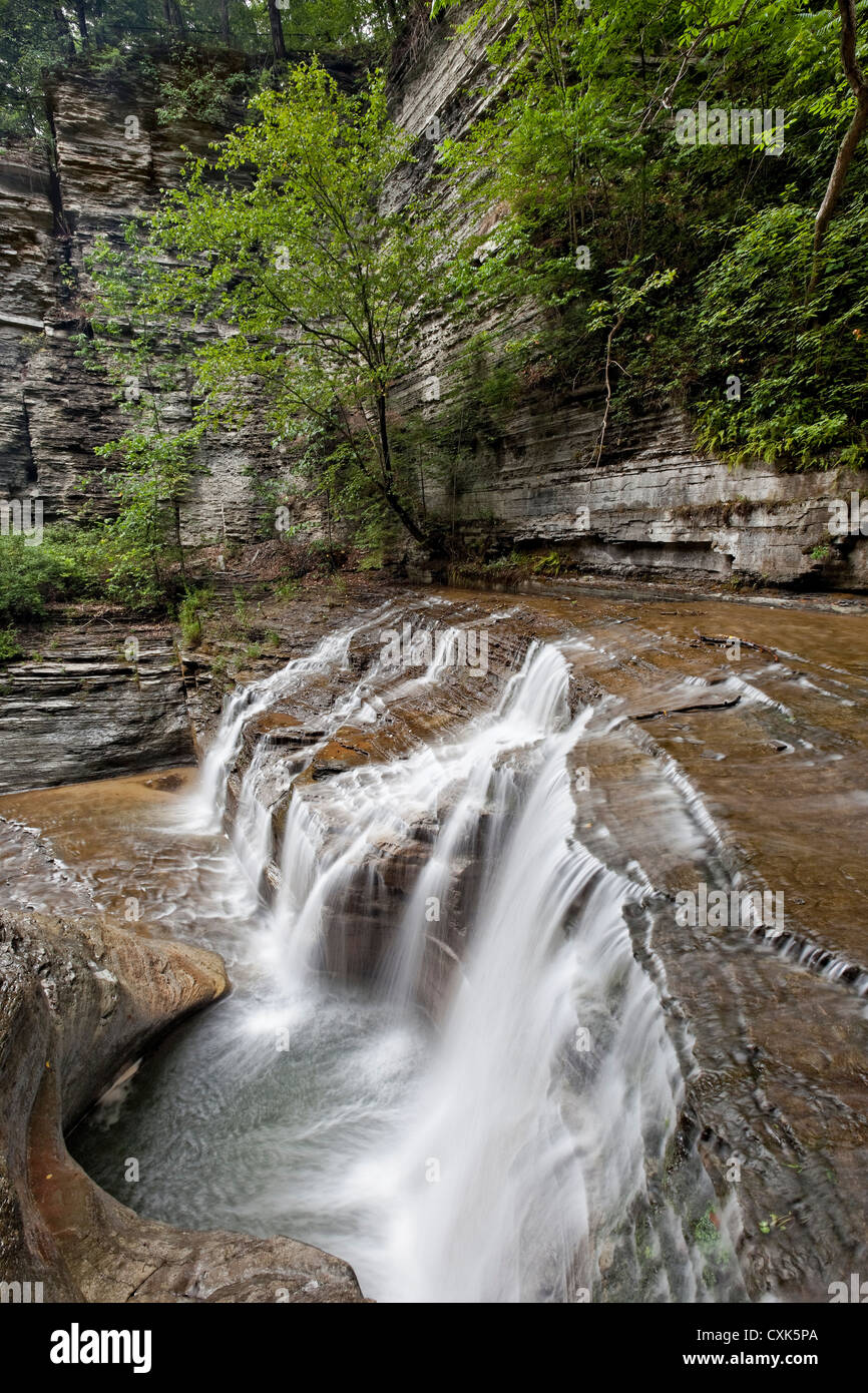 Latticello Falls State Park, Ithaca, New York Foto Stock