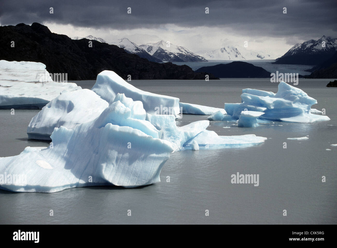 Glaciars sul lago grigio con glaciar grigio in background, Paine National Park, Patagonia, Cile. Foto Stock