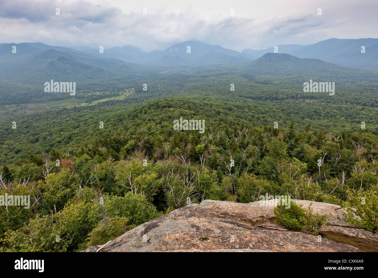 Vista di Mt. Marcy da Mt. Van Hoevenberg, Montagne Adirondack, New York Foto Stock