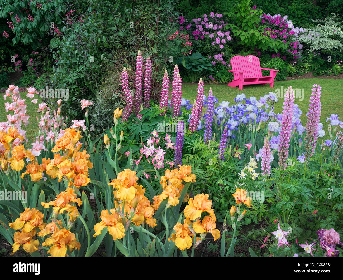 Sedia da giardino e giardino fiorito. Iris Schrieners giardini, Salem, Oregon. Foto Stock