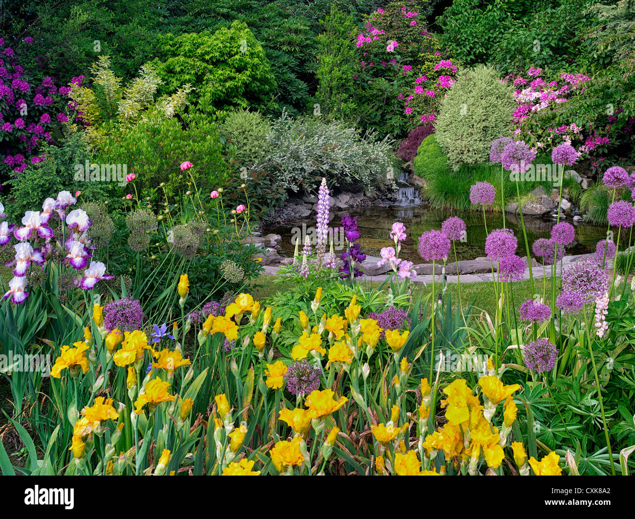 Stagno con giardino fiorito. Iris Schrieners giardini, Salem, Oregon. Foto Stock