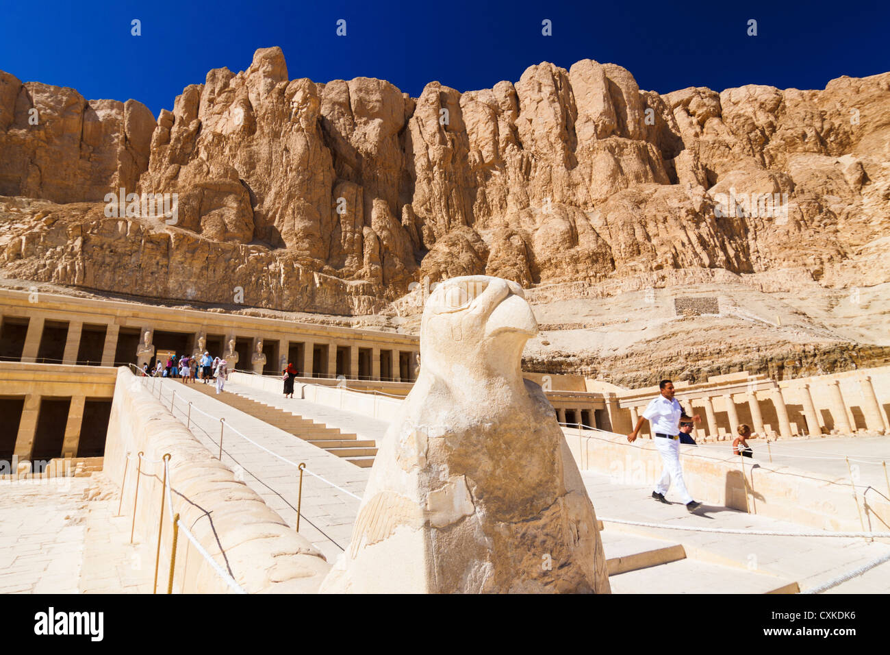 Deir al-Bahri, Hatshepsut Tempio con dio falco Horus statua in primo piano, Luxor, Egitto Foto Stock