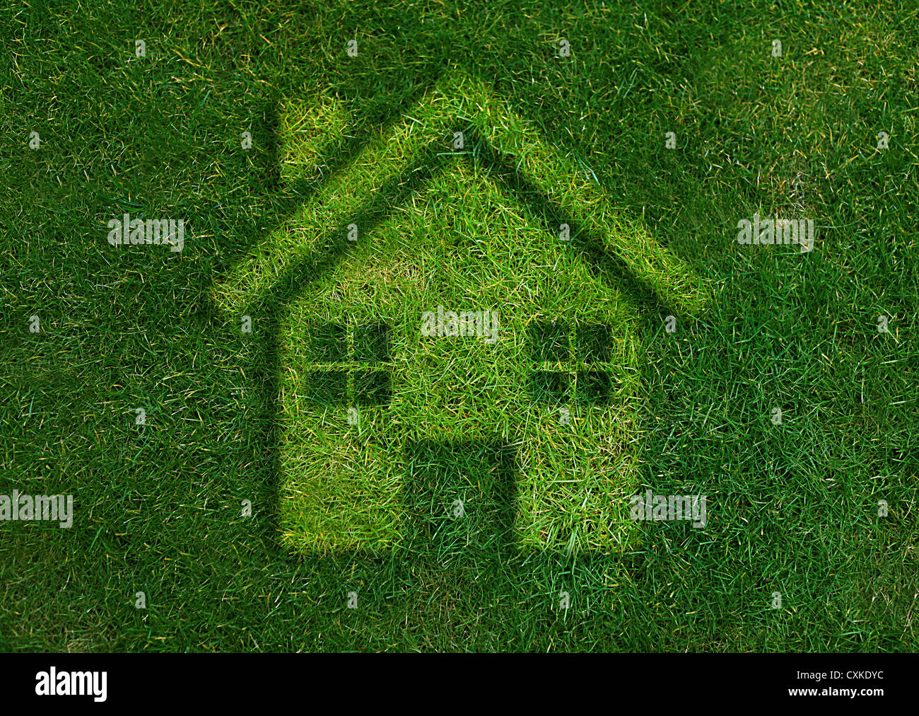 Concetto di ecologia, verde home mondo verde. Foto Stock