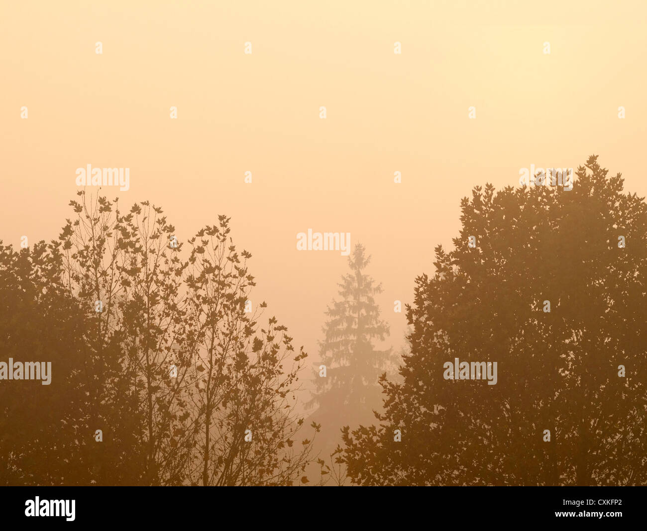 Una autentica immagine scattata durante un tramonto di nebbia in villaggio lungo (città), Croazia Foto Stock