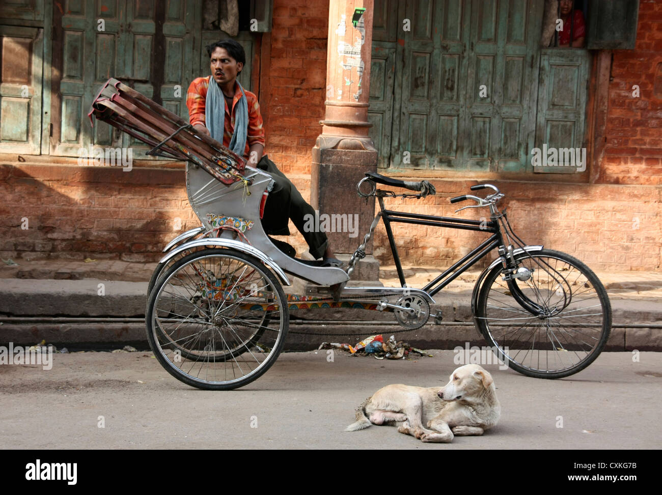 Autista di rickshaw triciclo con cane al tramonto. Varanasi. India Foto Stock