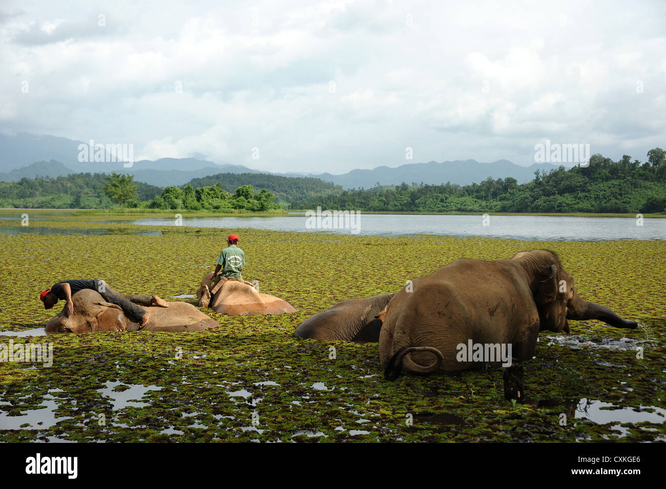 Felice papà reca grave podgy carino figlio. Foto Stock