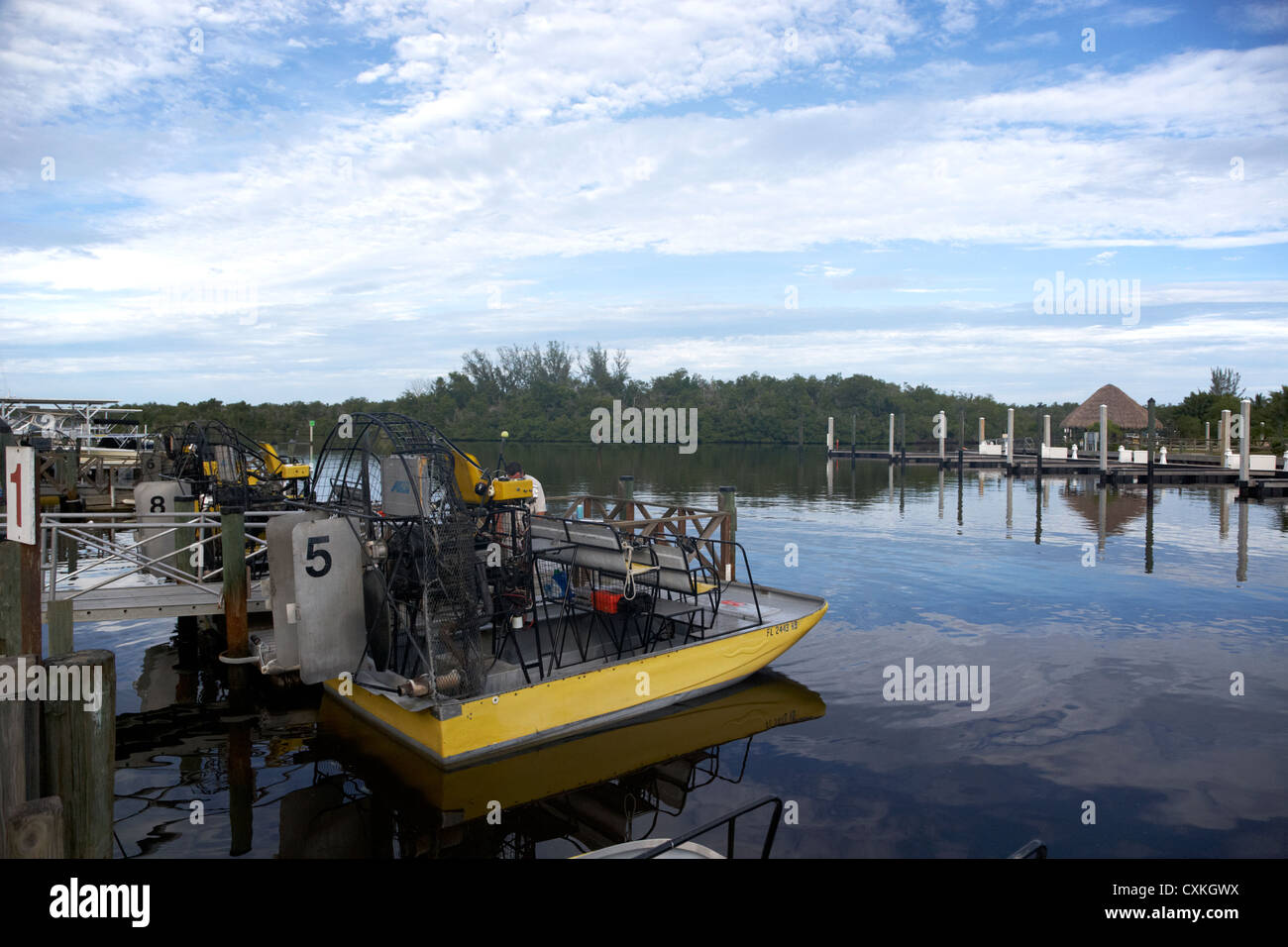 Speedys idroscivolante in Everglades city florida everglades usa Foto Stock