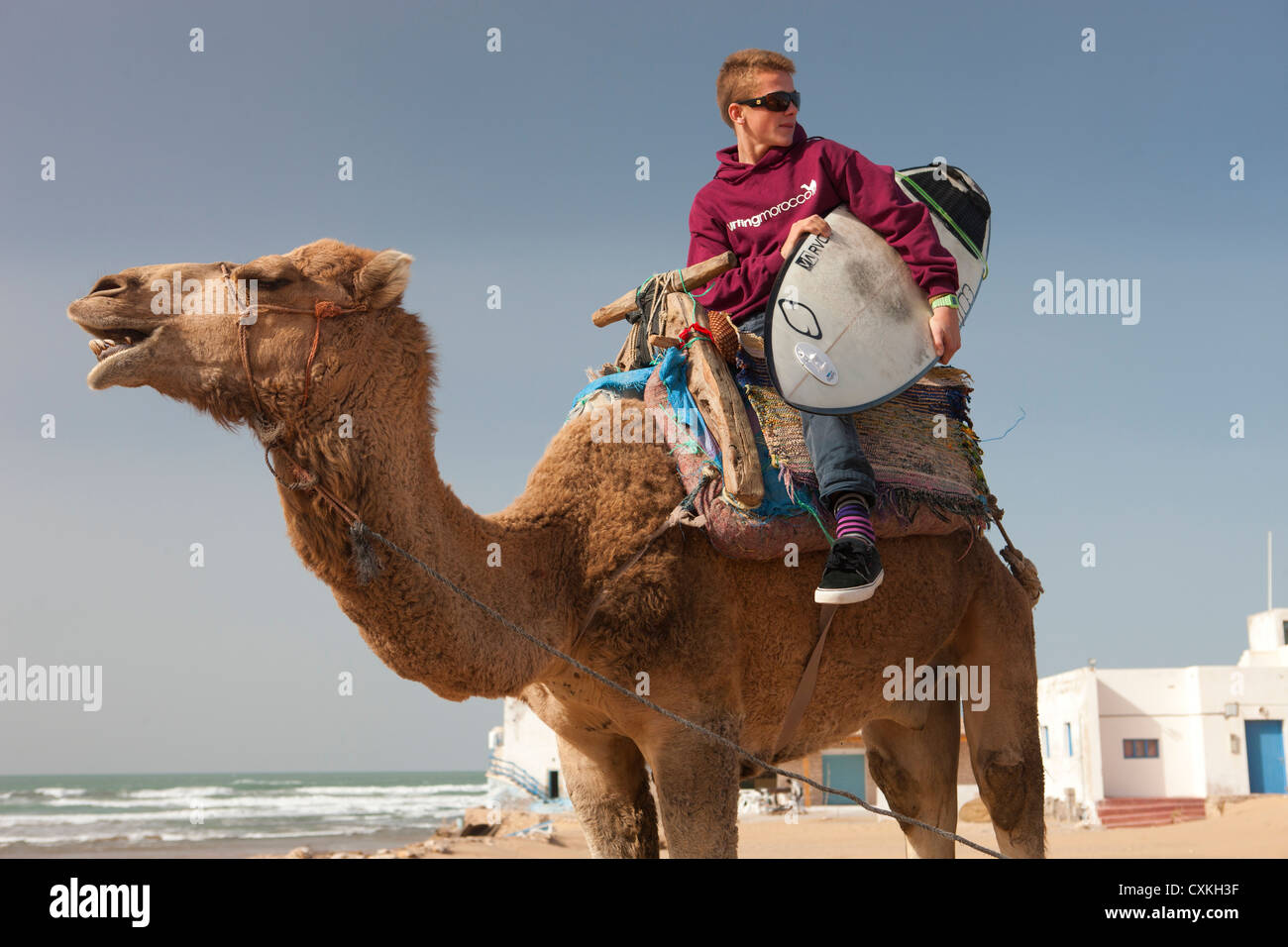 Surfista con la tavola da surf sul cammello in Sidi Kaouki, Marocco Foto Stock
