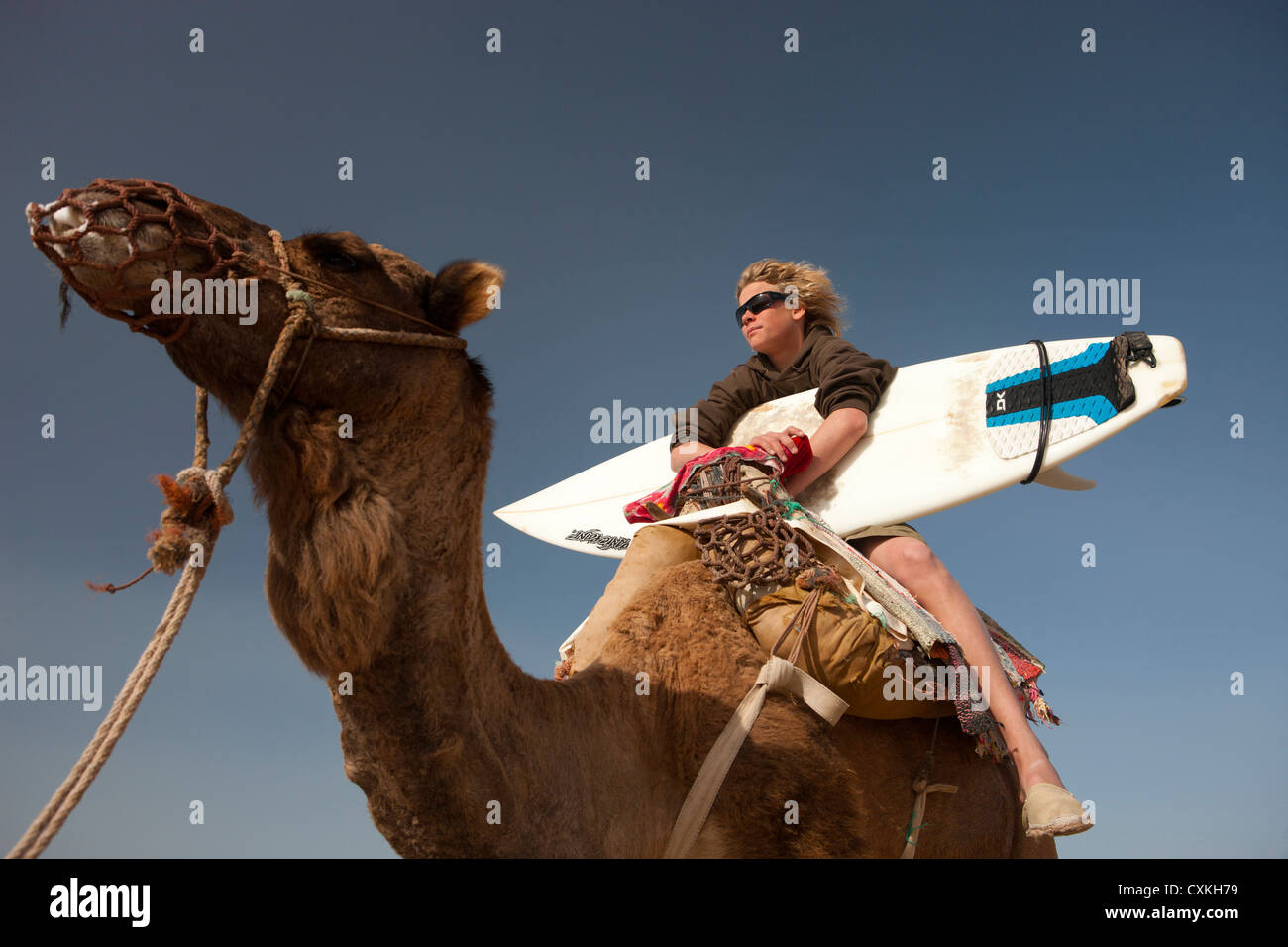 Surfista con la tavola da surf a cavallo su un cammello sulla spiaggia di Sidi Kaouki, Marocco Foto Stock