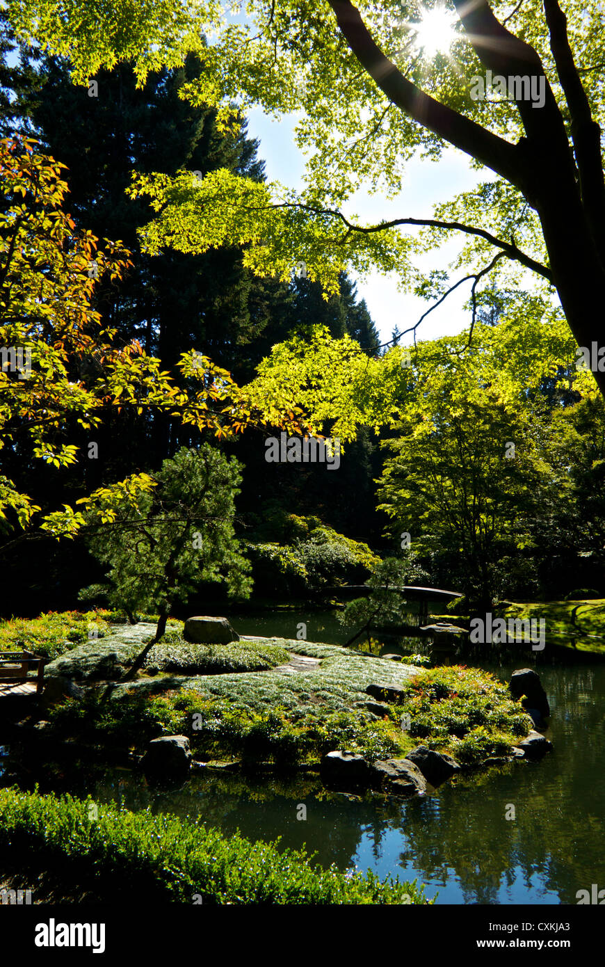 Inizio autunno fogliame sugli alberi intorno al laghetto Nitobe Giardini Giapponesi UBC Vancouver Foto Stock