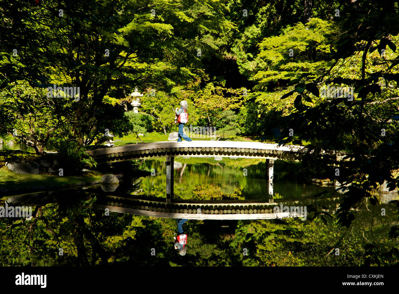 In autunno il fogliame degli alberi sul ponte di legno della riflessione in stagno a Nitobe Giardini Giapponesi UBC Vancouver Foto Stock