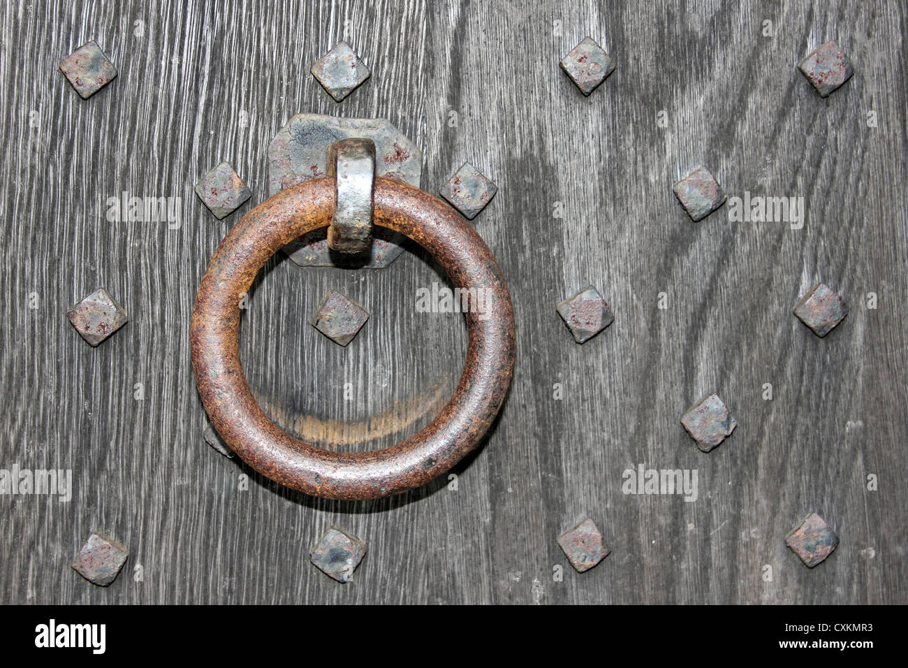 Anello di metallo su metallo legno chiodati, porta la gabbia, Lyme Park, Cheshire, Regno Unito Foto Stock