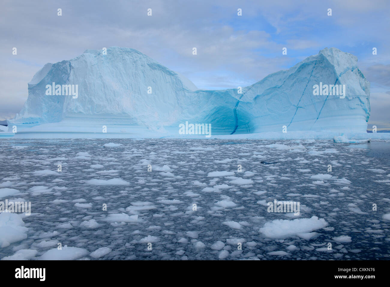 Iceberg, Rode fiordo, Scoresby Sund in Groenlandia Foto Stock