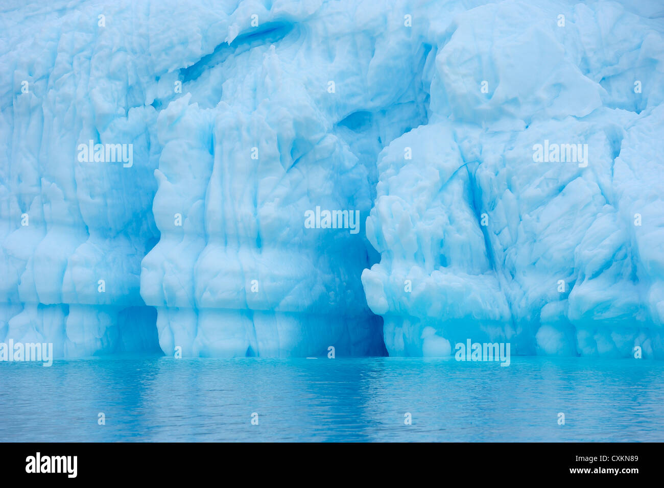 Blu Iceberg, Rode fiordo, Scoresby Sund in Groenlandia Foto Stock
