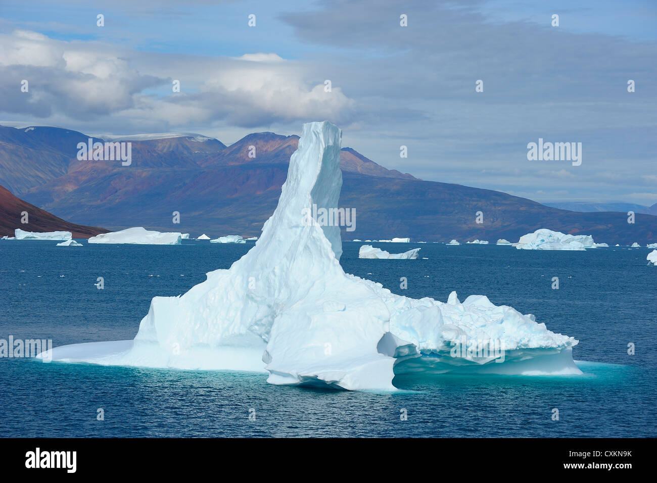 Iceberg, Rode fiordo, Scoresby Sund in Groenlandia Foto Stock