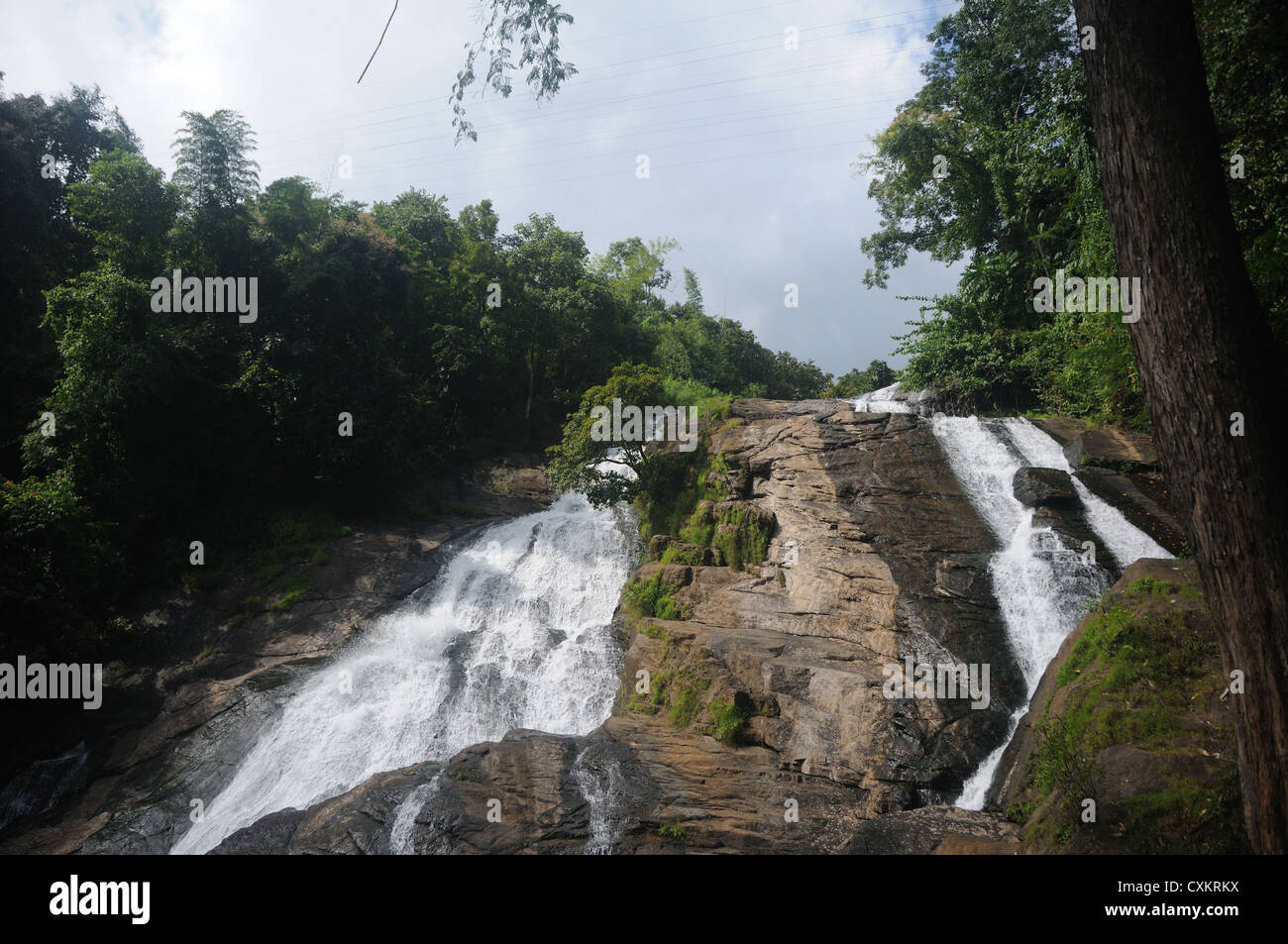 Athirappilly cade Athirappilly è popolare tra i turisti. Athirappilly cade è uno dei migliori luoghi da visitare in Kerala, indi Foto Stock