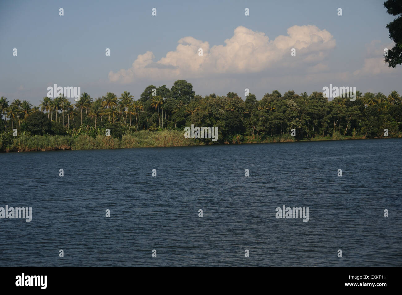 Il fiume del Periyar, Alwaye, Kerala, India Foto Stock