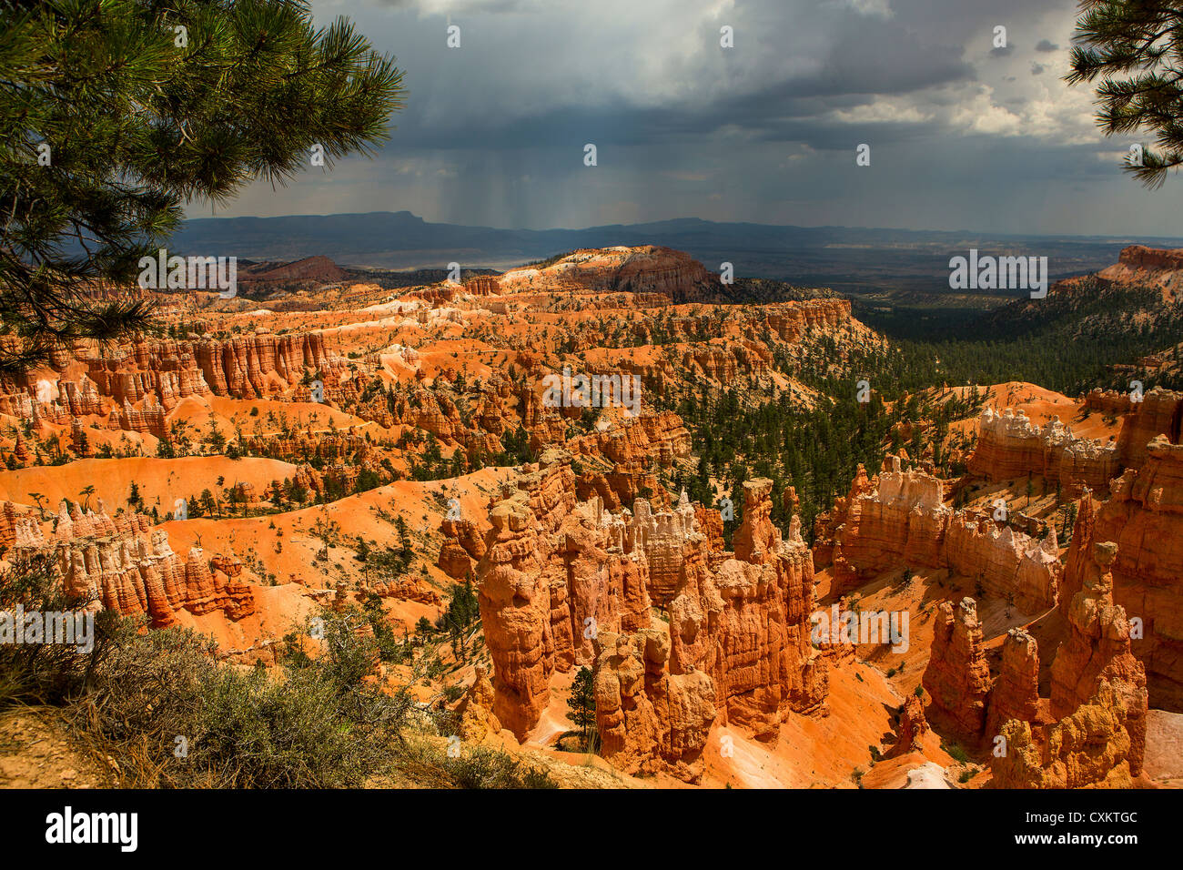 Parco Nazionale di Bryce Canyon con una tempesta proveniente, Utah, Stati Uniti d'America Foto Stock