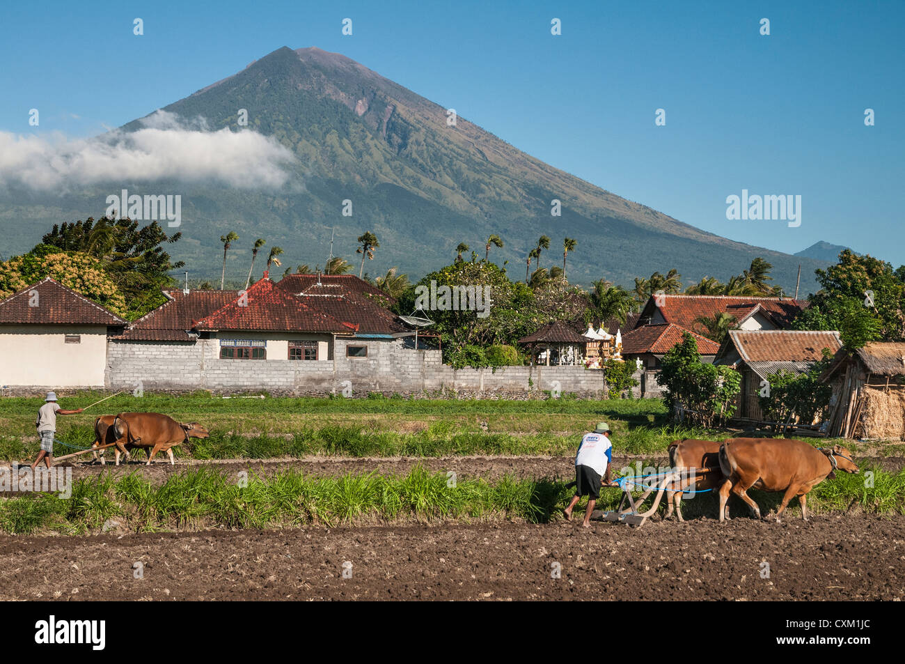 Arare i campi nei pressi di Amed con Gunung Agung vulcano sullo sfondo, Bali Orientale, Indonesia. Foto Stock