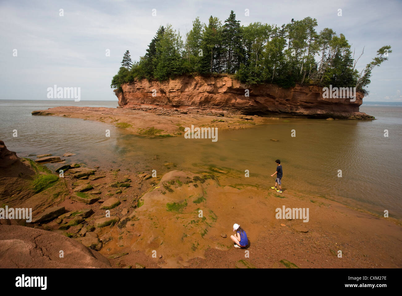 Testa Burncoat nella Baia di Fundy, la più alta marea nel mondo Foto Stock