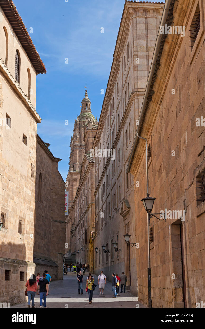 La vecchia strada os Compañía con la Chiesa della Clerecia e la "Casa de las Conchas' in background. Salamanca, Spagna Foto Stock
