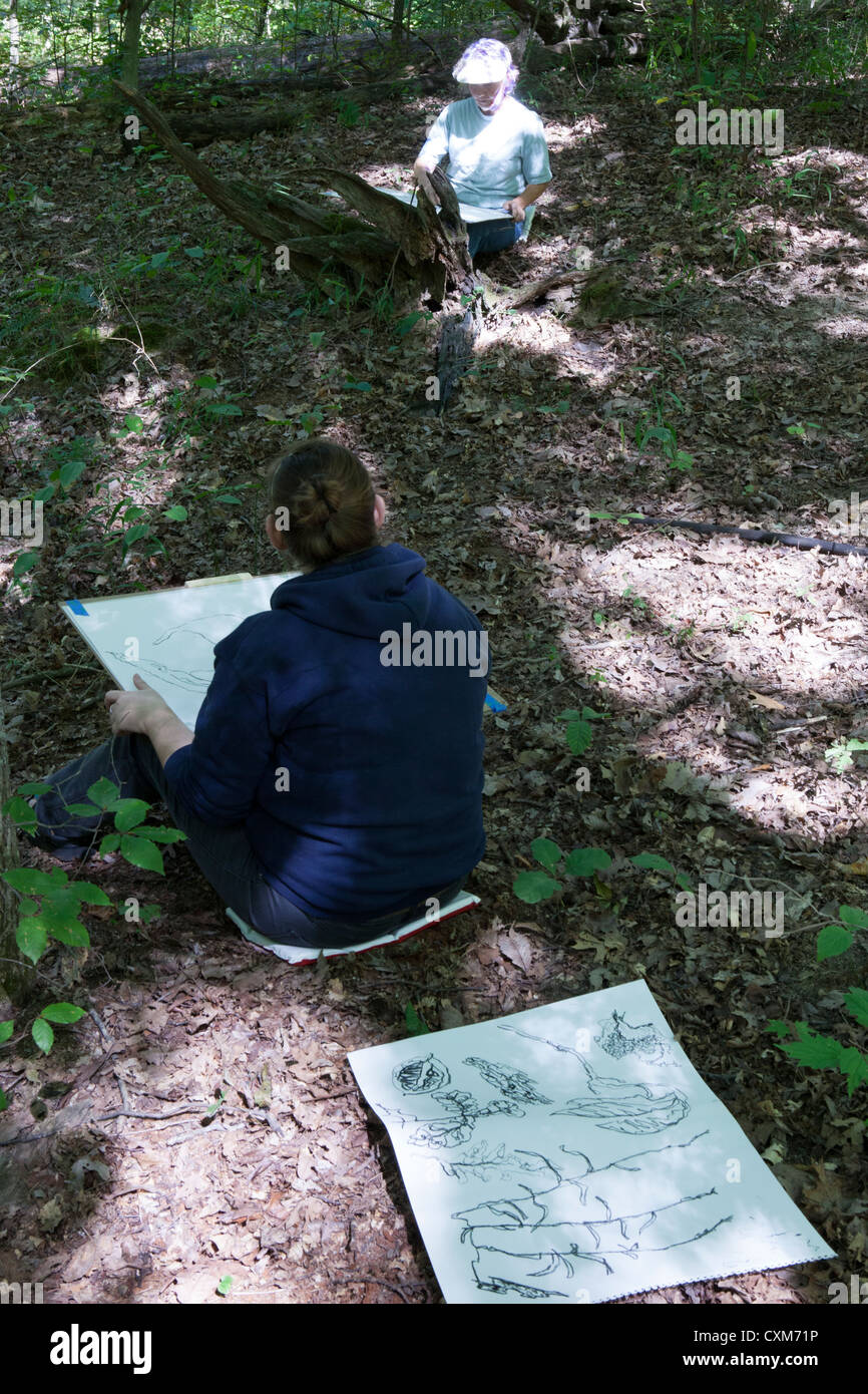 Carbone di legna art student disegno nella foresta a artista 'T.C. Steele's" casa storica. Rurale della contea di marrone Indiana America Foto Stock