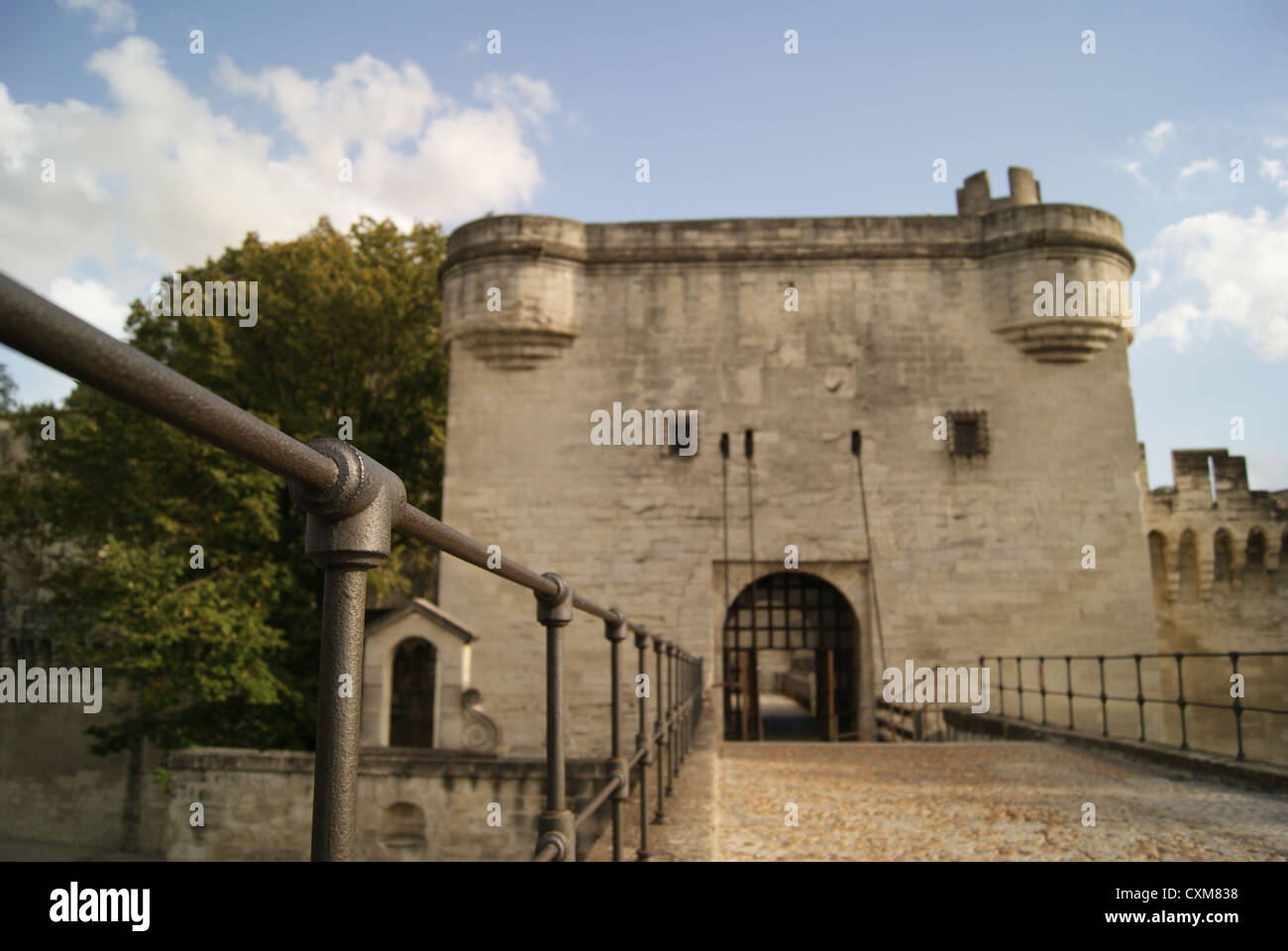 Ponte di Avignone, Francia. Foto Stock