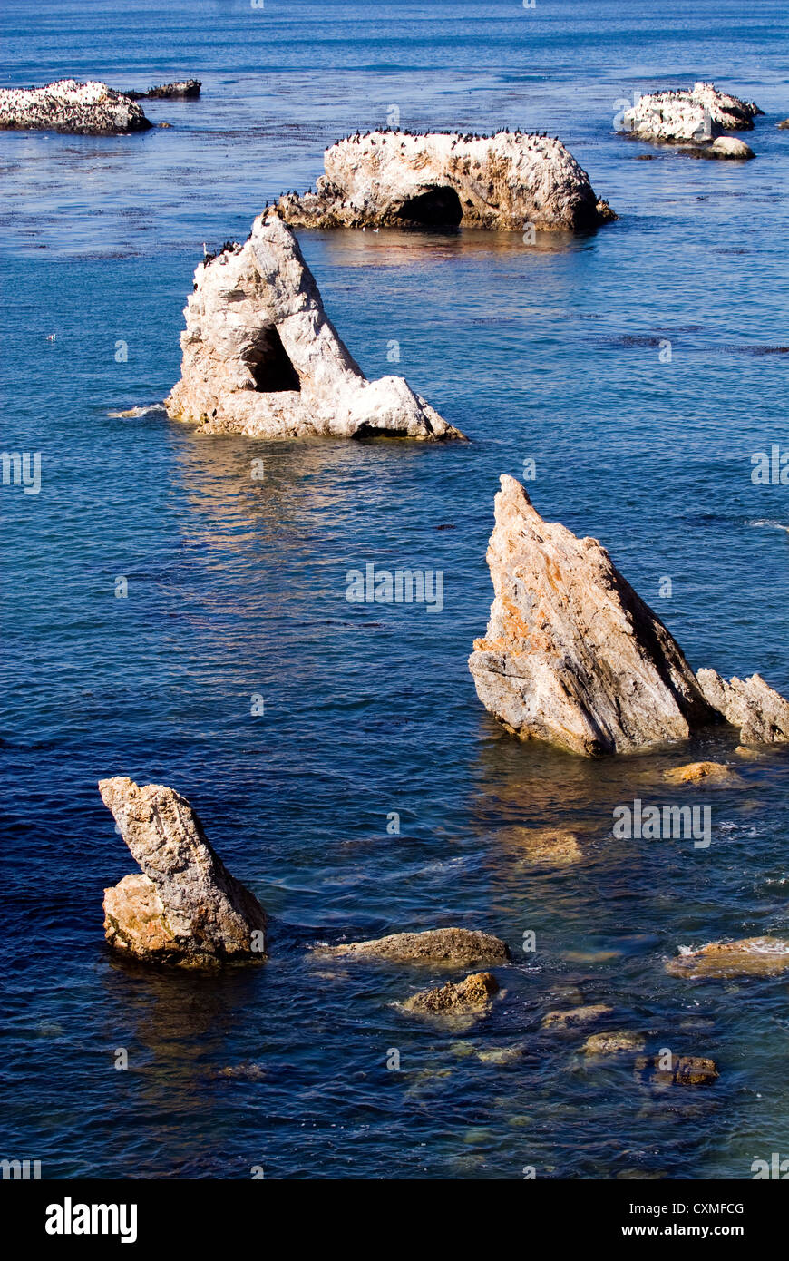 Pellicani in appoggio sulle rocce a Pismo Beach in California Foto Stock