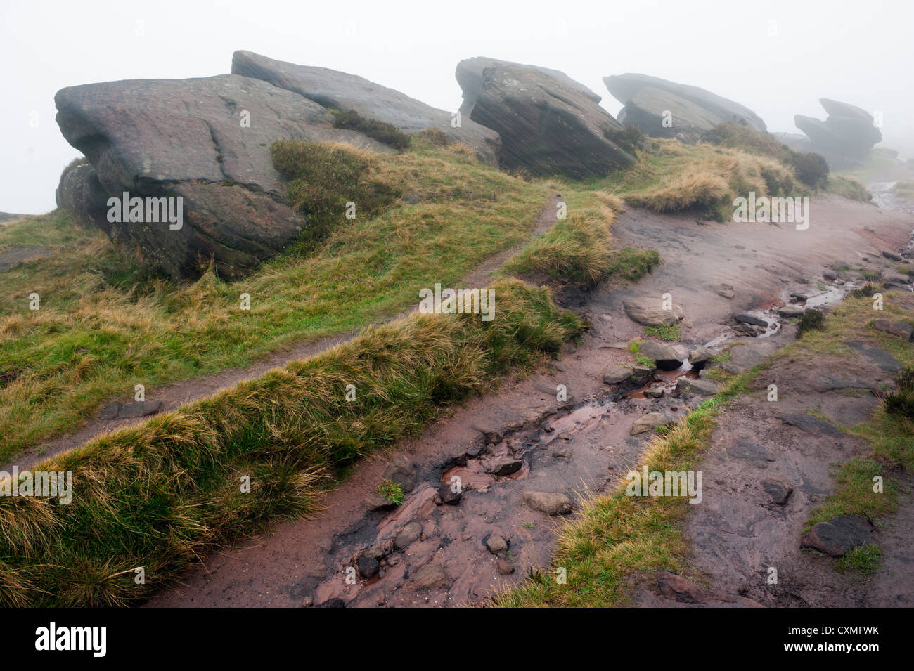 Le formazioni rocciose nella nebbia, il roaches, Staffordshire, Parco Nazionale di Peak District Foto Stock