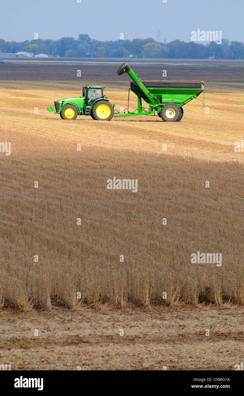 Un trattore John Deere e un Brent grano in un campo di fattoria durante il raccolto di soia. Foto Stock