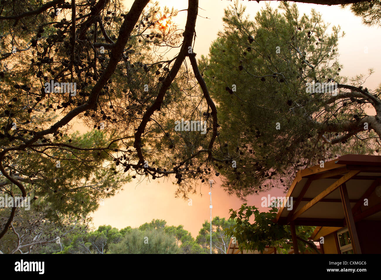 Forrest fire in Spagna fa un drammatico cielo al di sopra di un parco di vacanze nella costa brava Foto Stock
