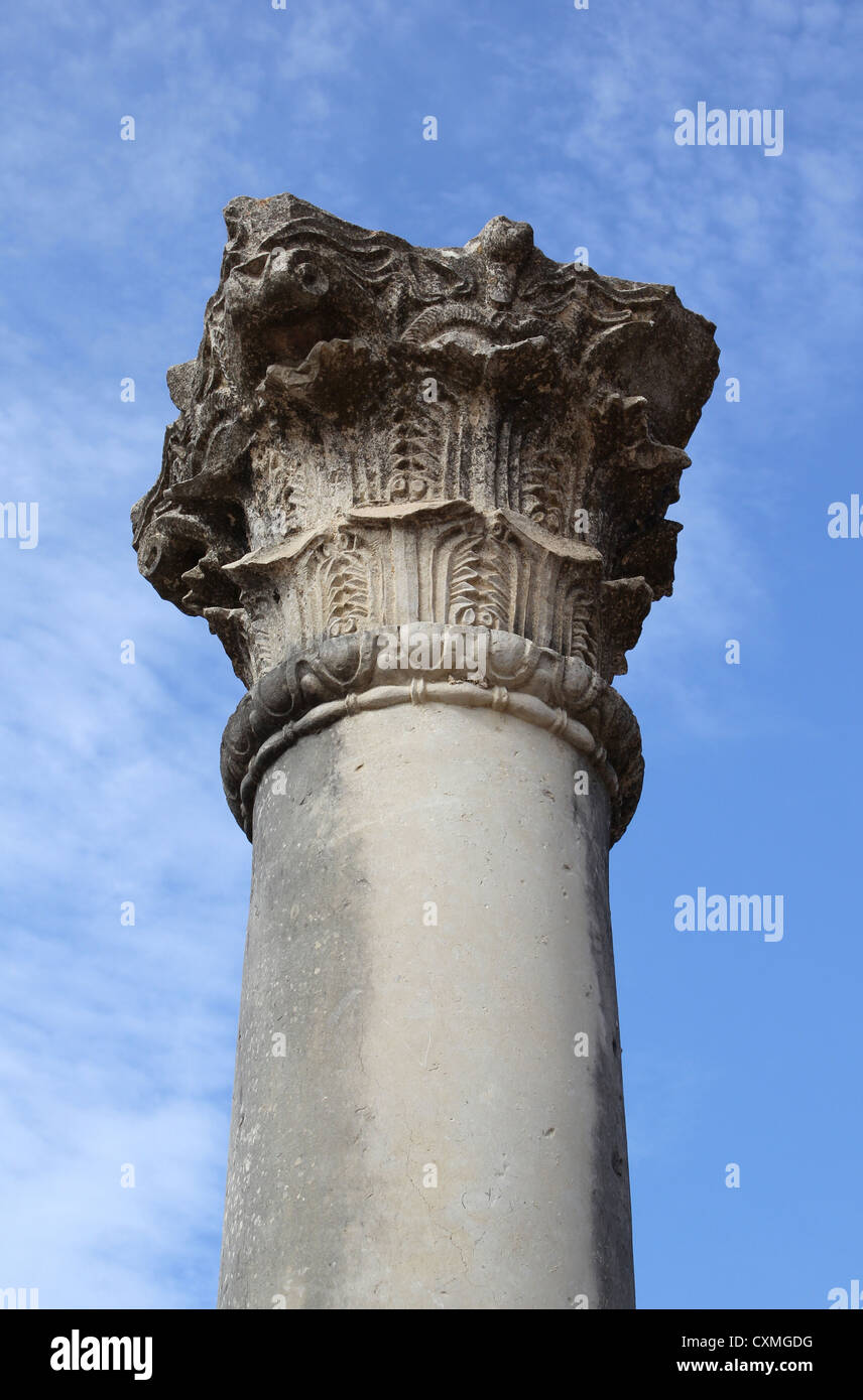 Dettaglio della parte superiore di una colonna a Volubilis Patrimonio Mondiale sito romano in Marocco Foto Stock