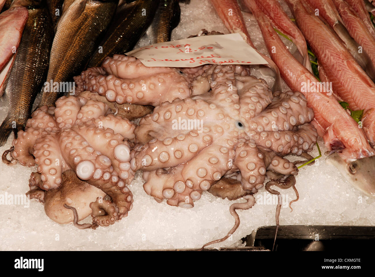 Vedute di Venezia, Piazza San Marco e i canali e vicoli. Foto Stock