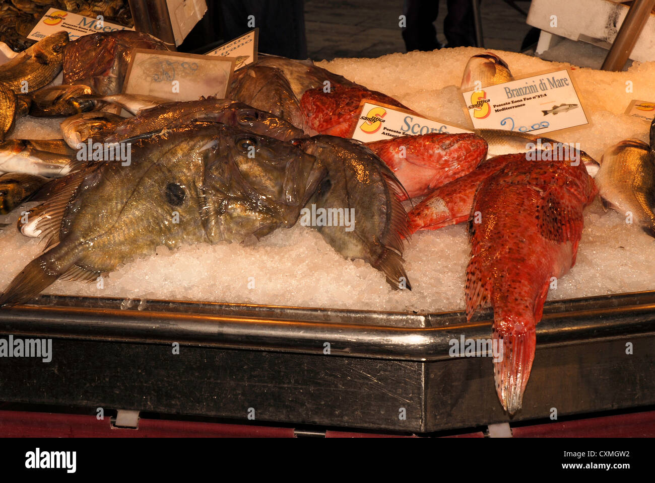 Vedute di Venezia, Piazza San Marco e i canali e vicoli. Foto Stock