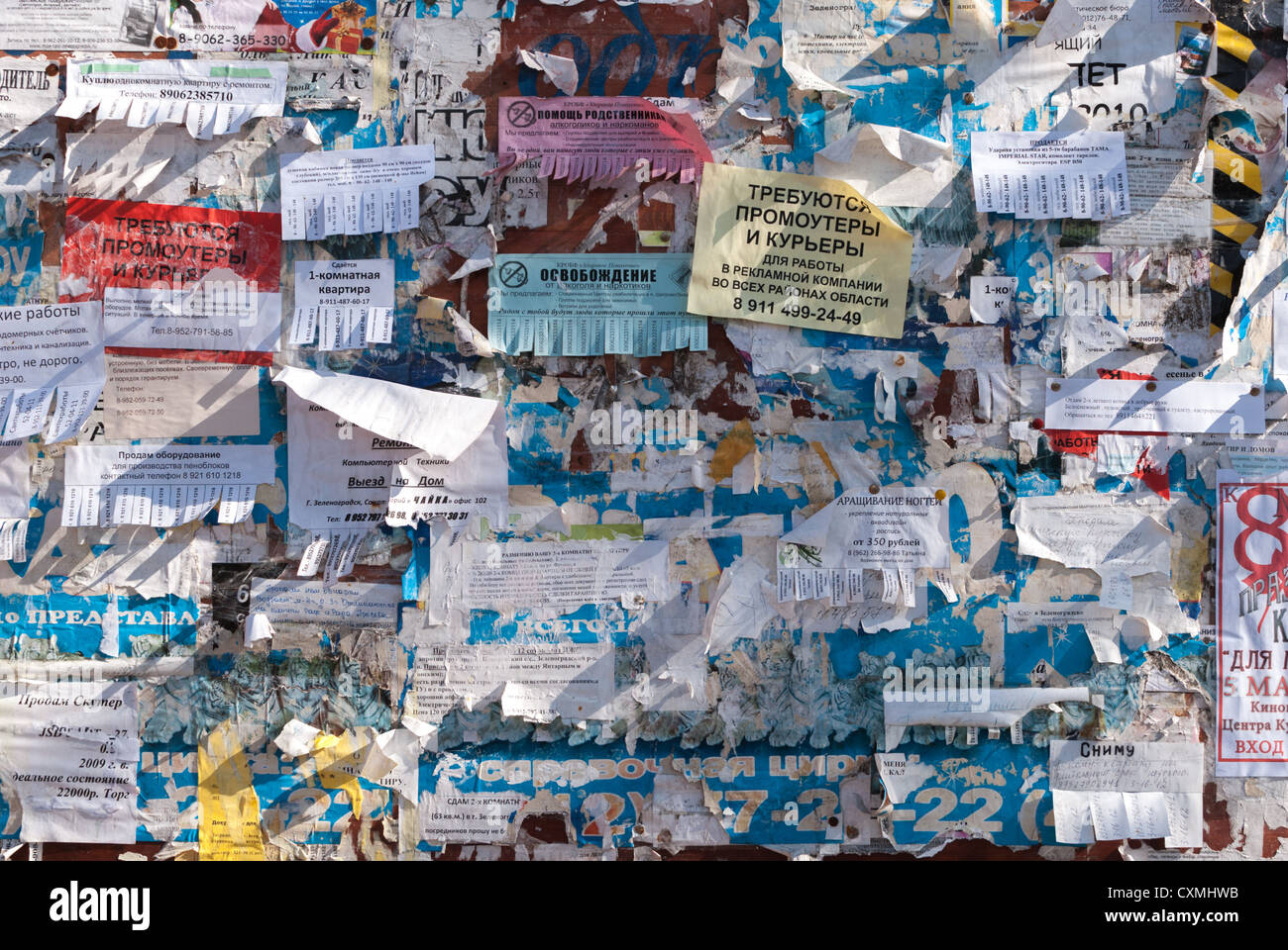 Parete con vecchi pezzi di annunci, tutto lo schermo Foto Stock