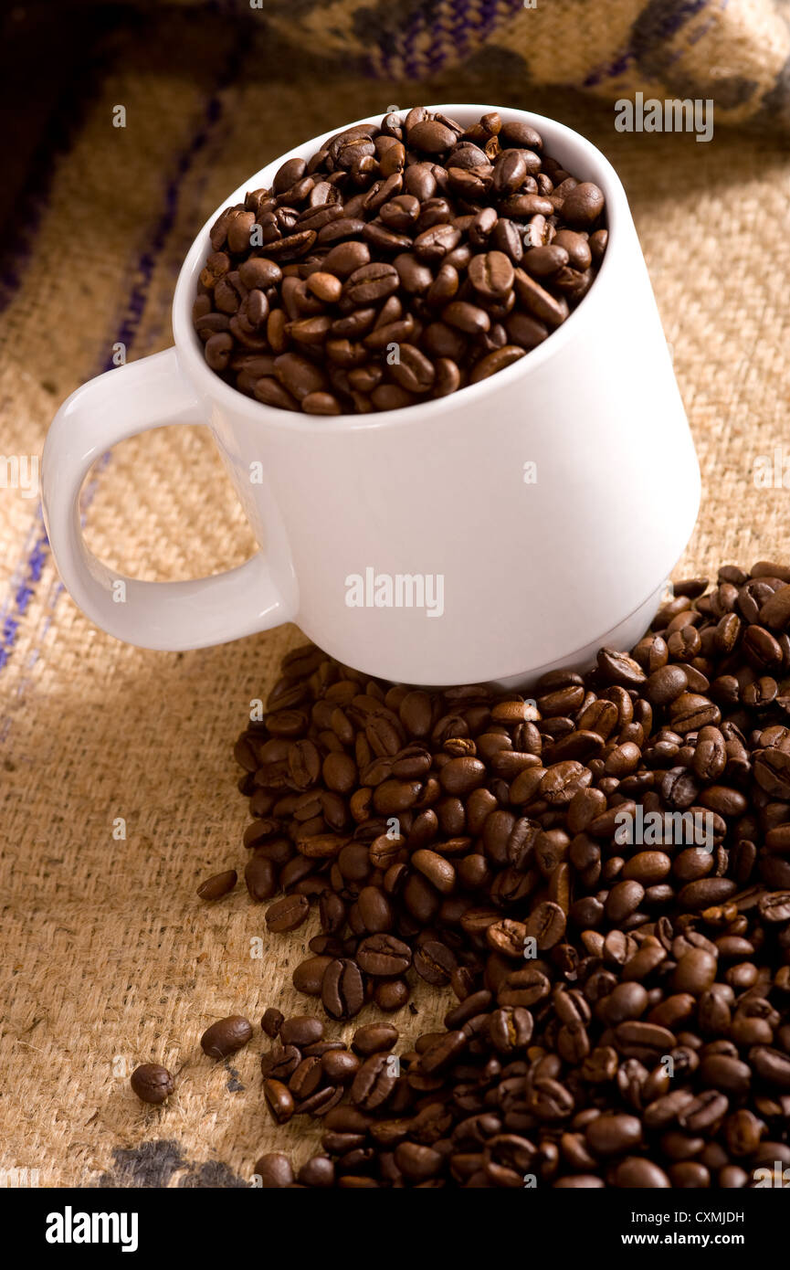 Un bianco coppa piena di caffè torrefatto in grani su una tela coffee bean bag. Sfondo con spazio di copia Foto Stock