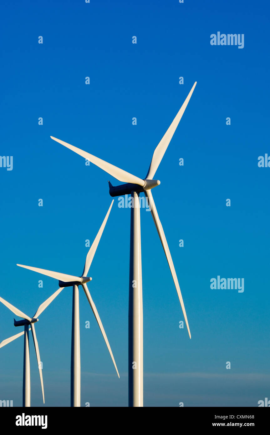 Bianco moderne turbine eoliche o mulini a vento che produce energia per alimentare una città Foto Stock