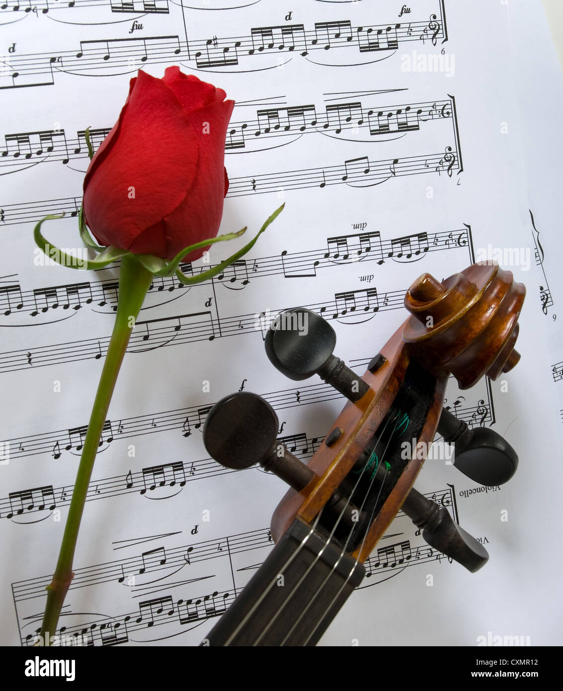 Un violino una sola rosa rossa e foglio di musica, immagine della bellezza della musica e delle arti Foto Stock